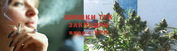 шишки Алексеевка
