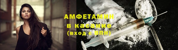 индика Нягань