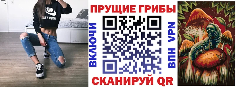 сколько стоит  Шумерля  Галлюциногенные грибы Psilocybe 